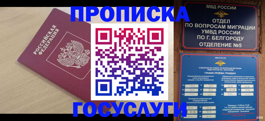 прописка законно в Владимирской области
